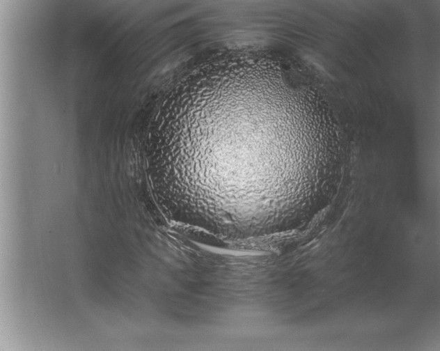 X0000062650917200512281643