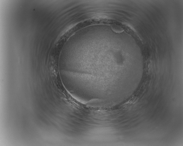 X0000062650919200512281643