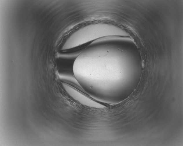 X0000062650920200512281643