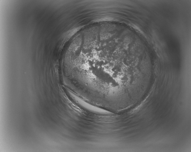 X0000062650921200512281643