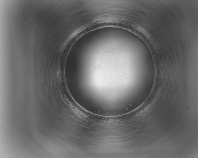 X0000062650922200512281643