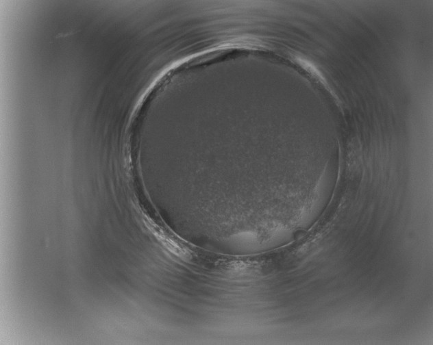 X0000062650923200512281643