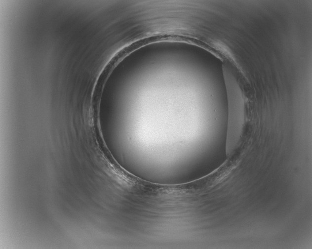 X0000062650924200512281643