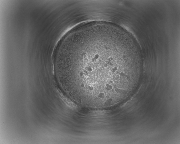 X0000062650925200512281643