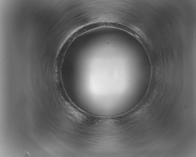 X0000062650926200512281643