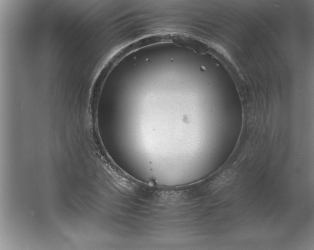 X0000062650927200512281643