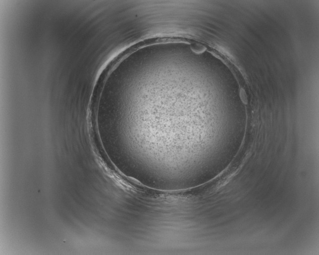 X0000062650928200512281643