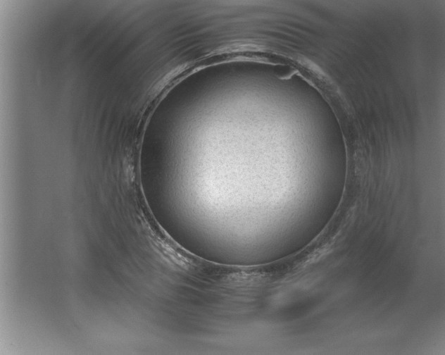 X0000062650929200512281643