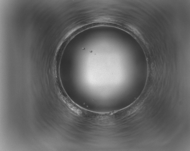 X0000062650931200512281643