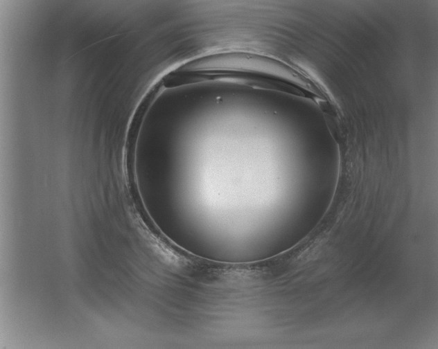 X0000062650932200512281643