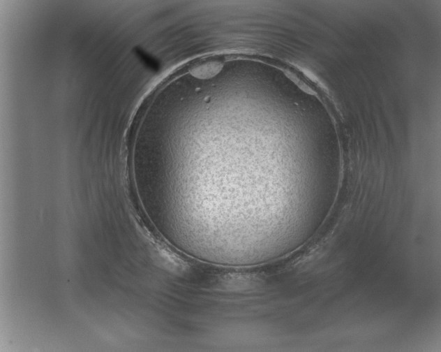 X0000062650933200512281643