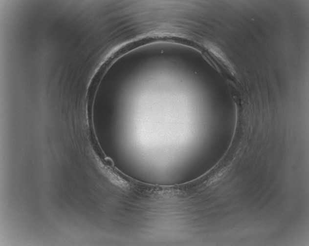 X0000062650934200512281643