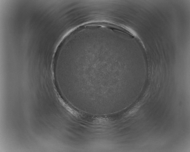 X0000062650935200512281643