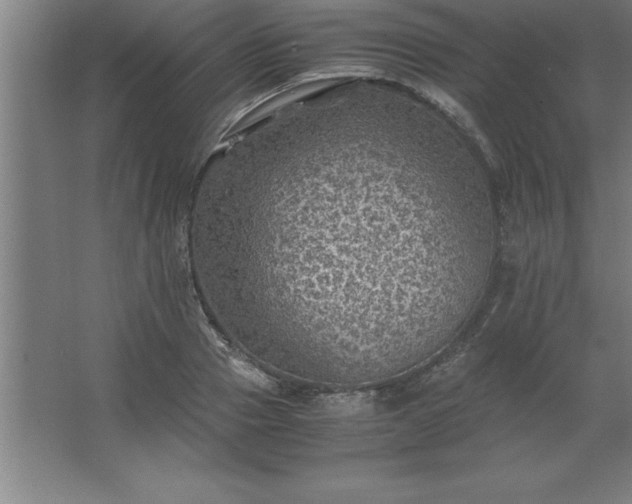 X0000062650937200512281643