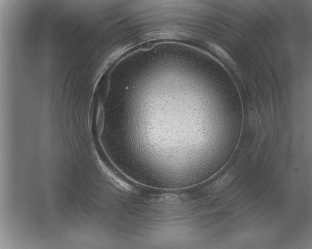 X0000062650938200512281643