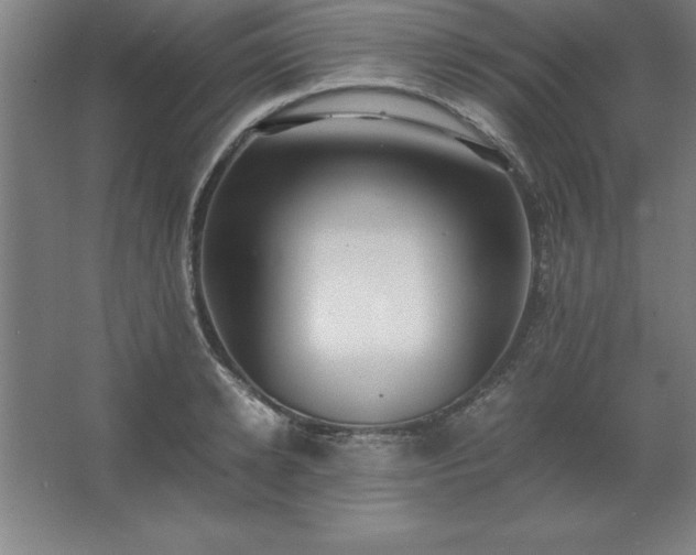 X0000062650942200512281643