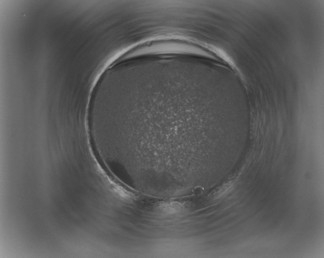 X0000062650943200512281643