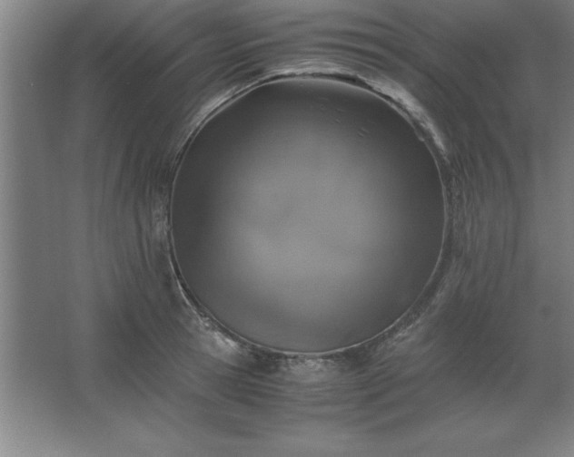 X0000062650945200512281643