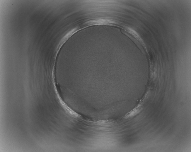 X0000062650946200512281643