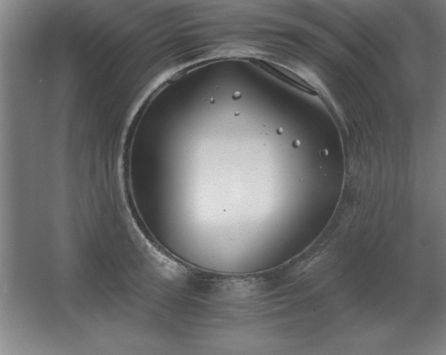 X0000062650947200512281643