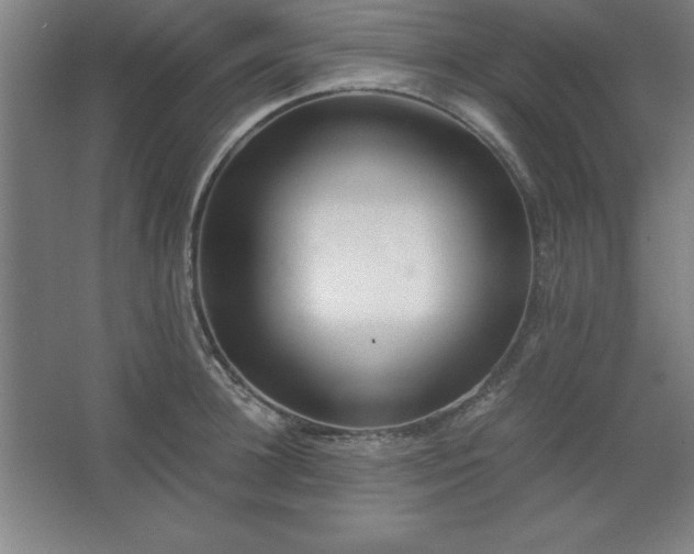 X0000062650948200512281643