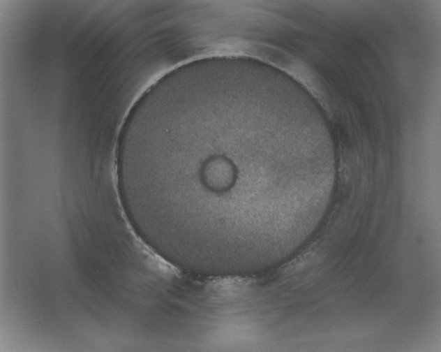 X0000062650950200512281644