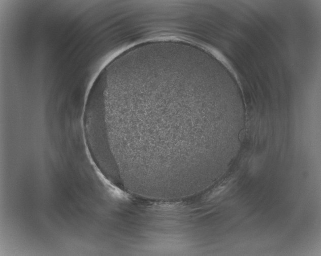 X0000062650951200512281644