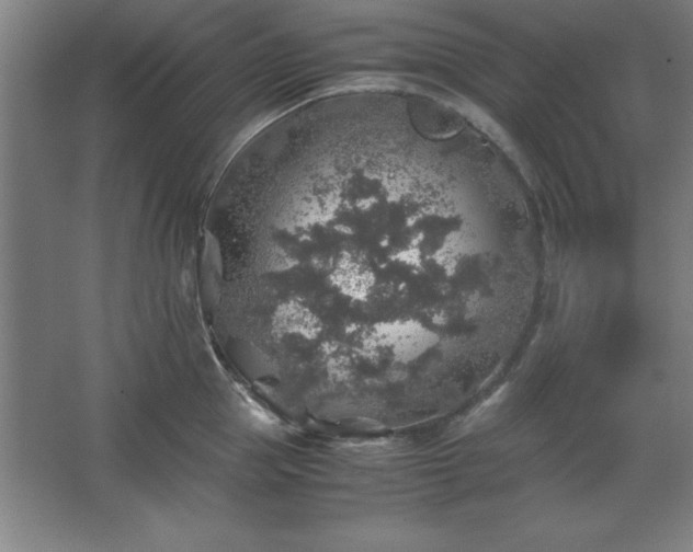 X0000062650953200512281644