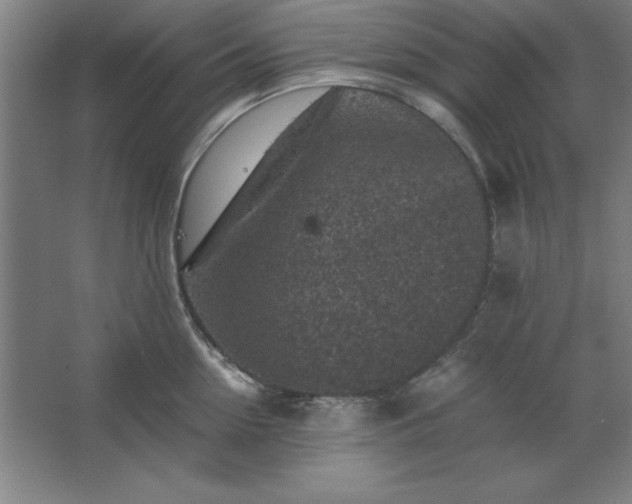 X0000062650954200512281644