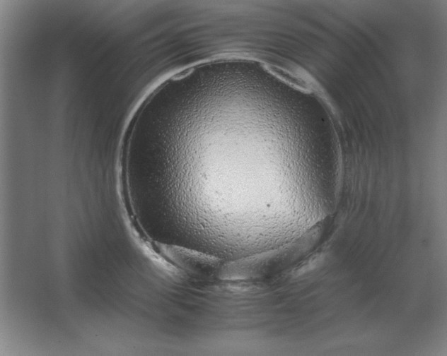 X0000062650955200512281644