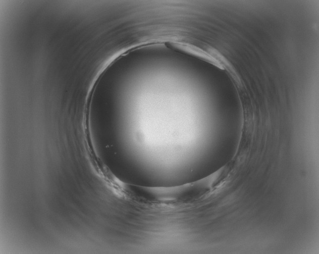 X0000062650956200512281644