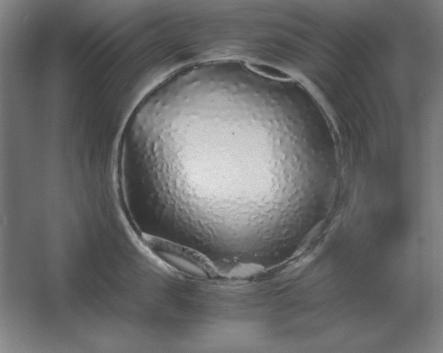 X0000062650957200512281644