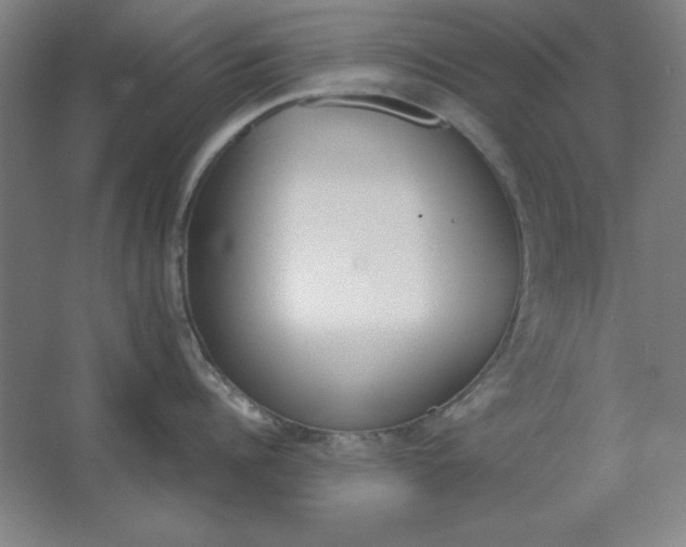 X0000062650960200512281644