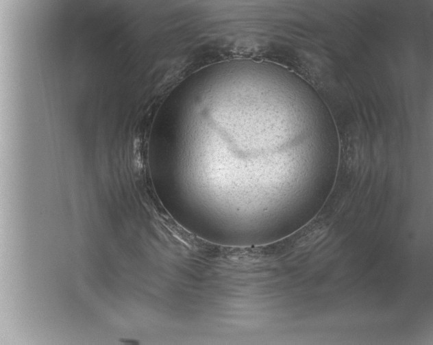 X0000062650962200512281643