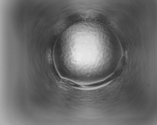 X0000062650963200512281643