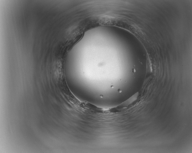 X0000062650964200512281643