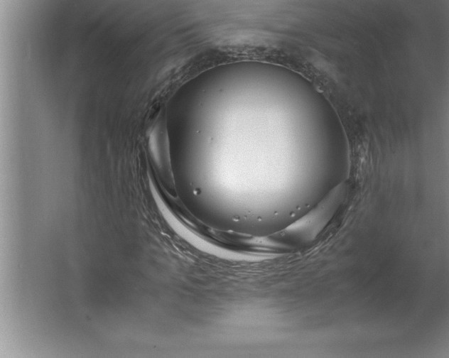 X0000062650965200512281643