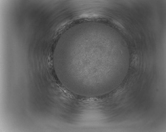 X0000062650966200512281643