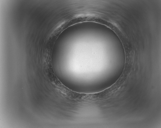 X0000062650967200512281643