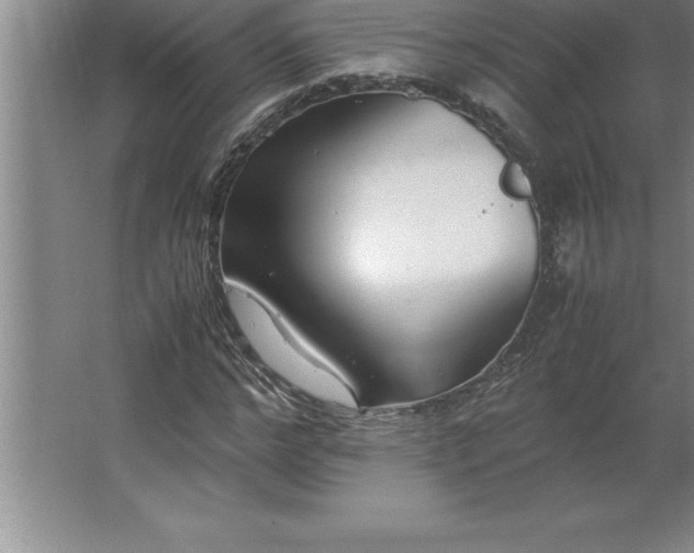 X0000062650968200512281643