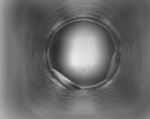 X0000062650969200512281643