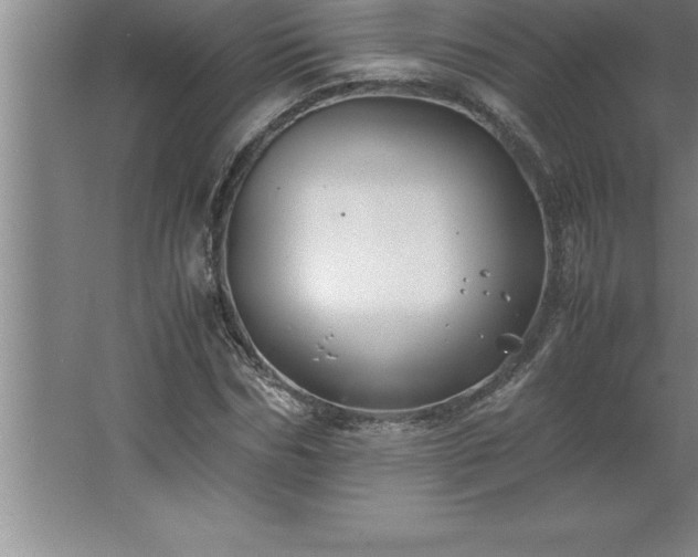 X0000062650970200512281643