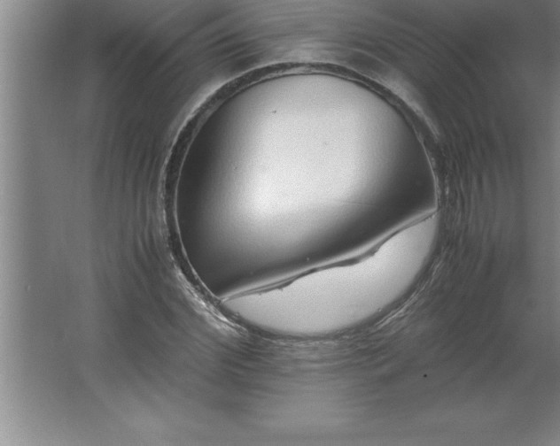 X0000062650972200512281643