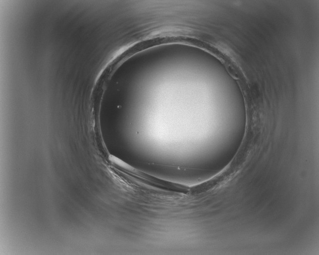 X0000062650973200512281643