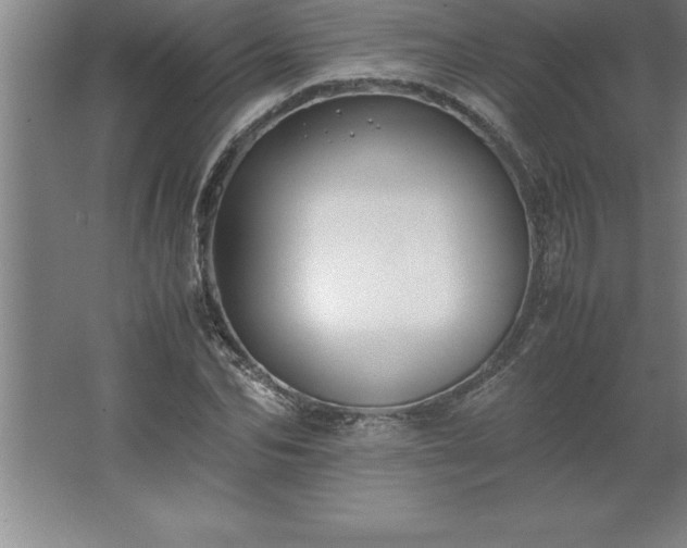 X0000062650974200512281643