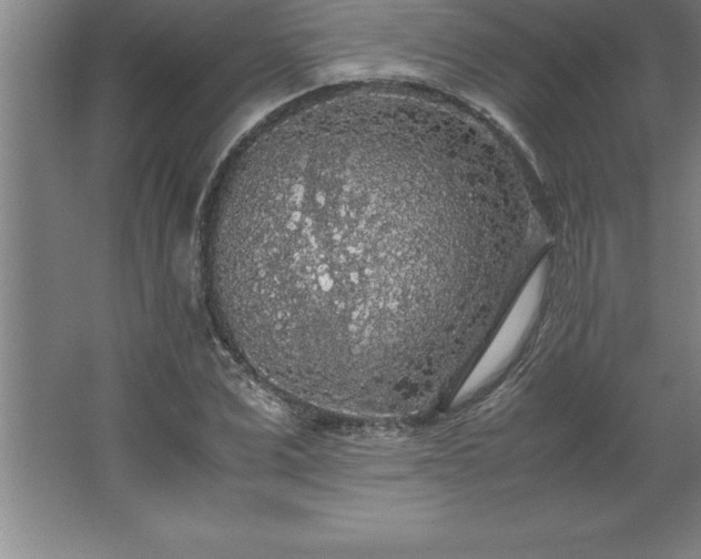 X0000062650975200512281643