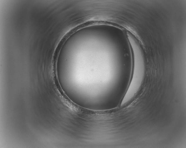 X0000062650976200512281643