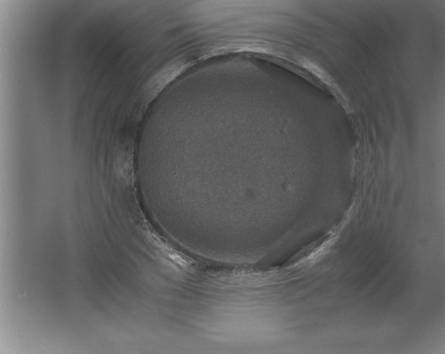 X0000062650977200512281643