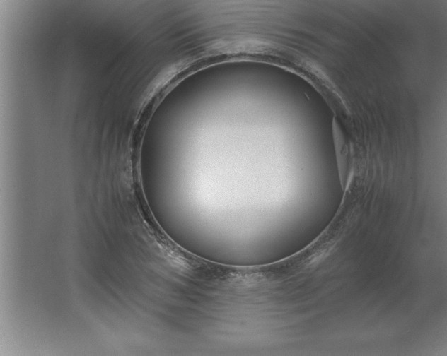 X0000062650978200512281643