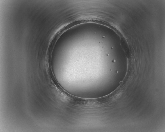 X0000062650979200512281643